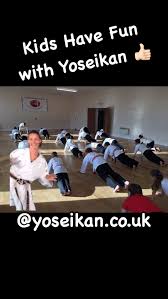 Image result for Yoseikan Budo England