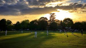 Image result for Oxshott Village Cricket Club