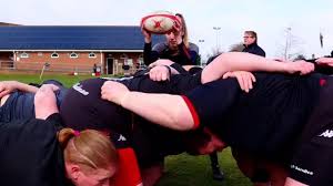 Image result for Devizes Rugby Football Club