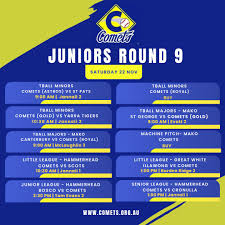 Image result for Comets Junior Badminton Club