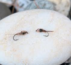 Attēlu rezultāti vaicājumam “Adelges laricis nymph”