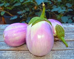 Afbeeldingsresultaat voor melanzana prosperosa eggplant