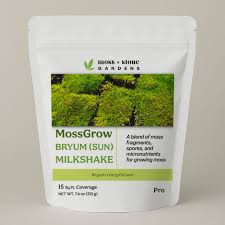 Attēlu rezultāti vaicājumam “Bryum caespiticium sporophyte”