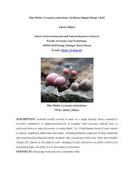 Attēlu rezultāti vaicājumam “Lycogala irregulare macro”