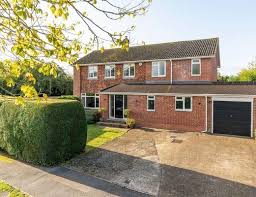 Image result for Fetcham Cannons