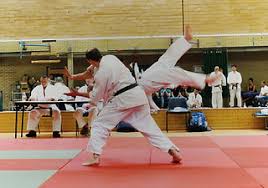 Image result for London Aikido Club