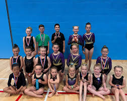 Image result for Diamonds Gymnastics Club