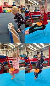 Image result for Brumby Gymnastics Club