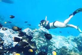 Image result for East Snorkellers