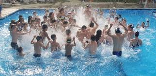 Image result for Tynedale Swimming Club