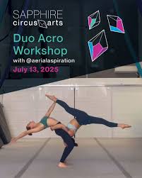 Image result for Sapphire Acro