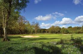 Image result for Brokenhurst Manor Golf Club