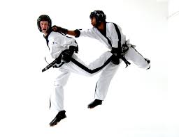 Image result for Bytomic Taekwondo
