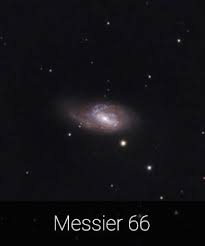 Image result for Leo Twirlstars