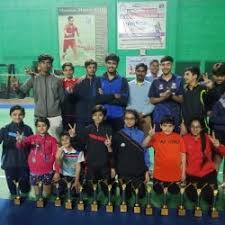 Image result for Transport Badminton Club