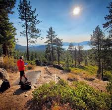 Image result for Shropshire Disc Golf Club