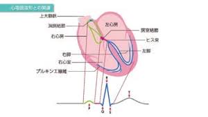 「却って永井さんのせん妄悪化した風」的圖片搜尋結果