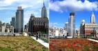 Green Roof Blocks - Simple Solutions to Building Green!