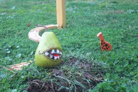 Image result for lol wut