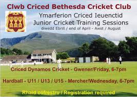 Image result for Clwb Criced A Bowlio Bethesda