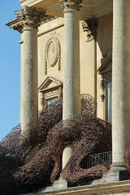 Image result for Bristol Swifts