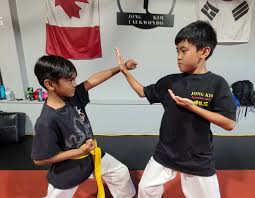 Image result for Surrey Taekwondo