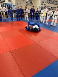 Image result for Skk Judo Club