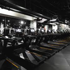 Image result for Lynx Gymnastics Club