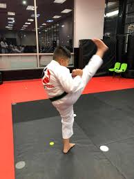 Image result for TopKick Martial Arts Center Leesburg