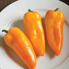 Afbeeldingsresultaat voor topepo giallo sweet pepper