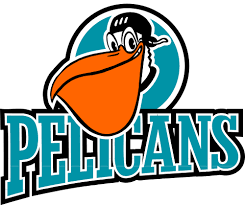 Image result for Pelicans Hockey Club