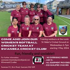 Image result for Swansea Cricket Club