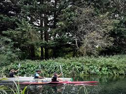 Image result for Chelmsford Canoe Club