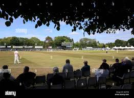 Image result for Guildford Cricket Club
