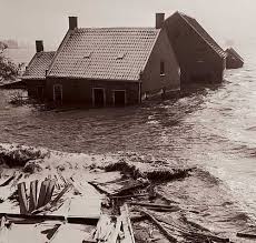 Image result for zeeland 1953