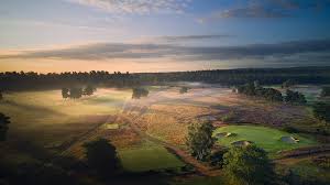 Image result for Hankley Common Golf Club