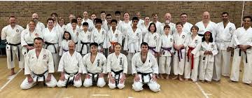 Image result for Wokingham Shotokai