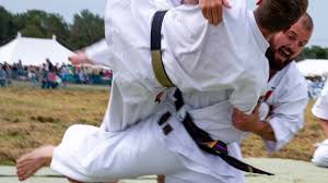 Image result for Imi Jishin Ryou karate do