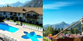 Image result for Enzian