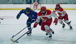 Image result for York University Street Hockey Club