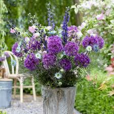 Attēlu rezultāti vaicājumam “Allium holandicum flower”
