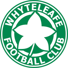 Image result for Whyteleafe Netball Club