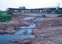New Bush Rule Eases Pollution Restrictions on Factory Farms