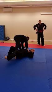 Image result for Budo Shin Ryu Kempo Jujitsu Academy