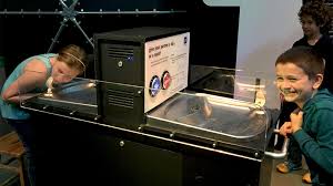 Image result for Exploratorium%20bubble