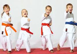 Image result for Martial Arts Karate Mesa AZ
