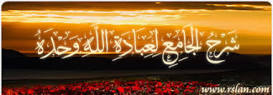 http://t0.gstatic.com/images?q=tbn:ANd9GcR555GiX8hm8eaiFrPd2GE4xe8v8Z5Dgh6ki_dqLxzhRR9rxOolD6CfWGXI