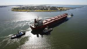 Image result for Pasha bulker