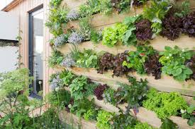 Image result for living wall