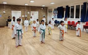 Image result for Oxford Karate Institute